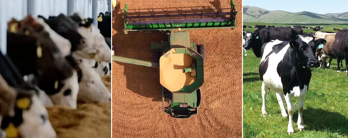 1686107014249437.png 微信圖片_20230607100638.png